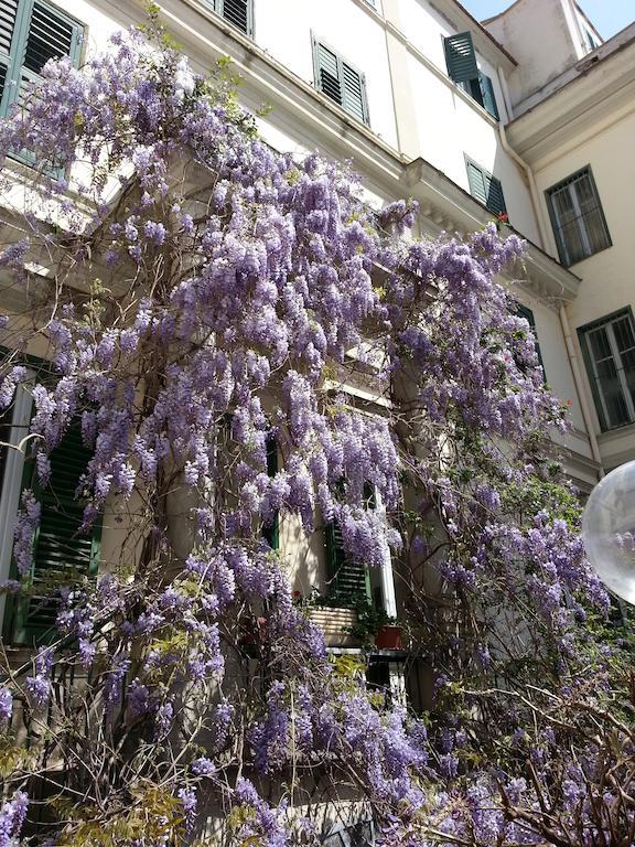 Hotel Villa Aricia أريكتشيا المظهر الخارجي الصورة